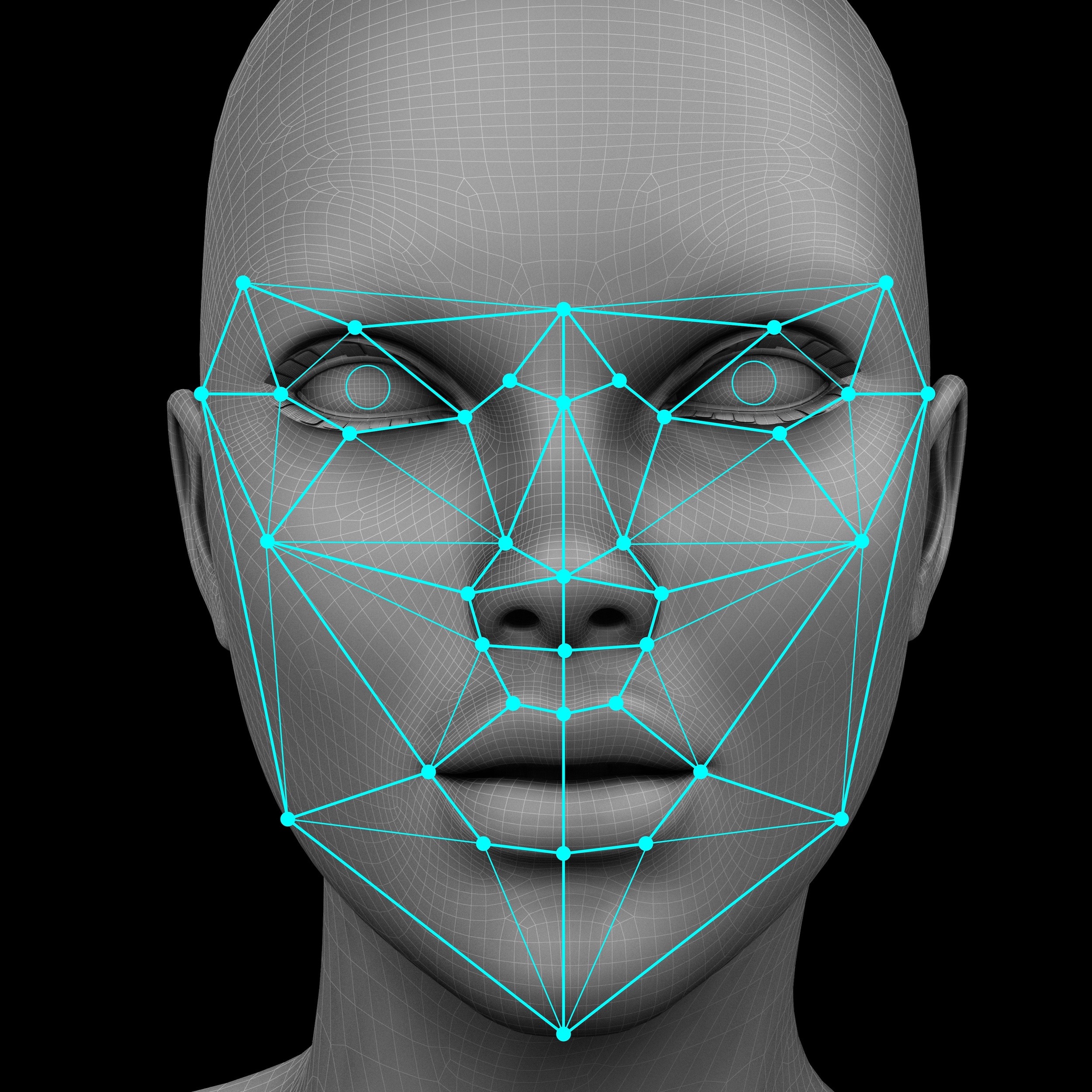 Facial recognition part 1 - Pi Capital